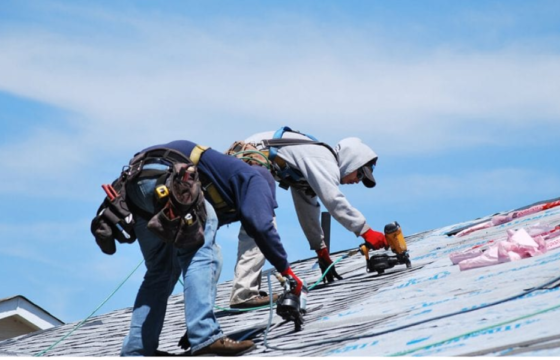 Roof Maintenance Tips for Kolkata Homeowners: Insights from Edify Home Decor